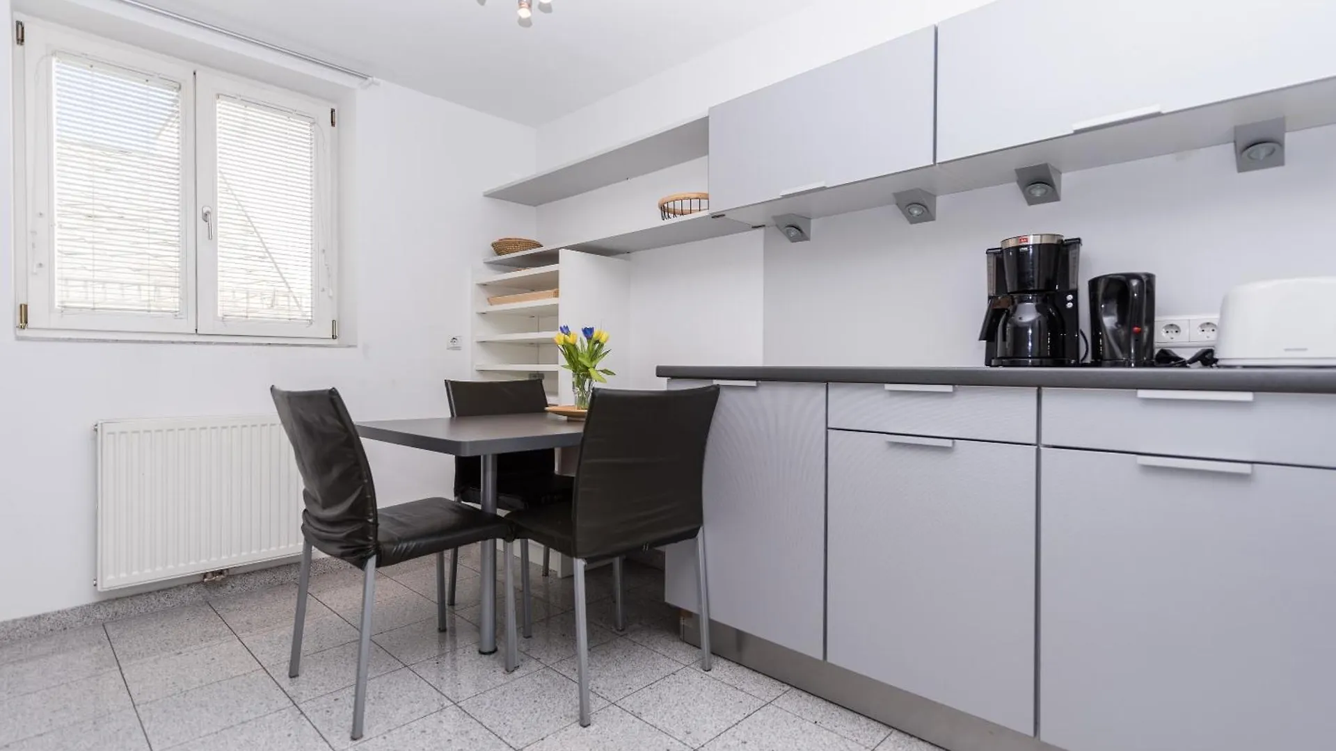 Apartments Next To Vienna Stateopera With Aircondition 0*,  Austria